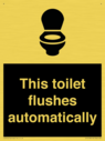 this-toilet-flushes-automatically~